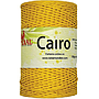 CAIRO - MONDIAL 